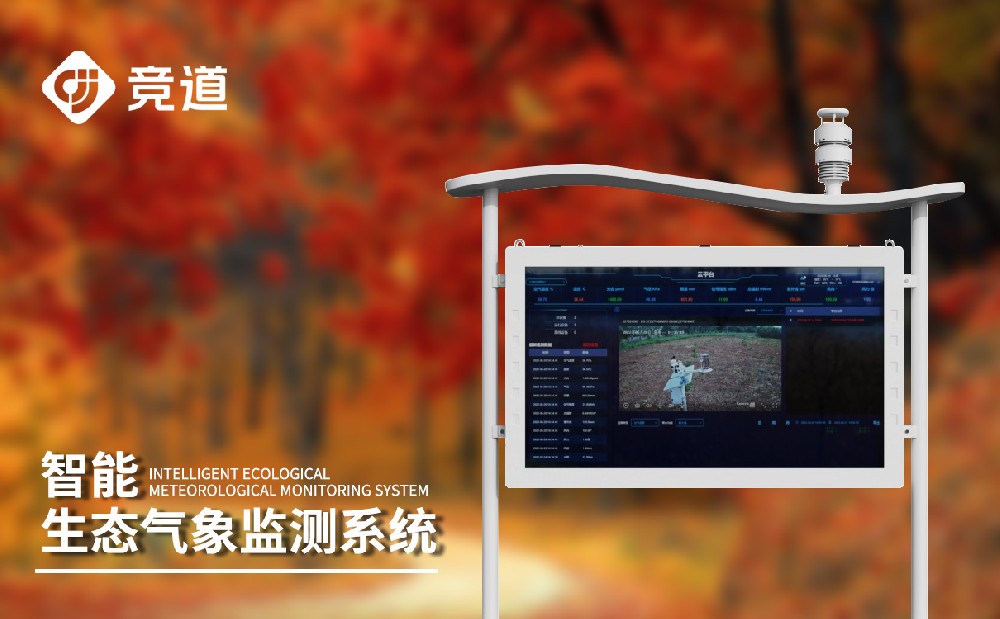 负氧离子监测系统